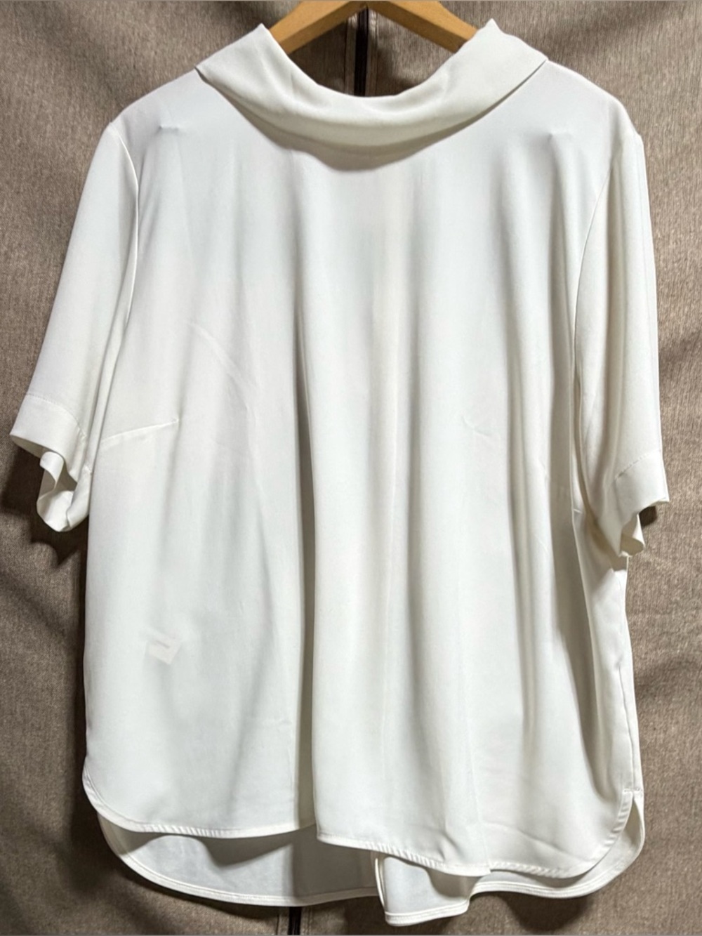 Ann Taylor Marilyn Collared Short Sleeve Blouse Cream XXL